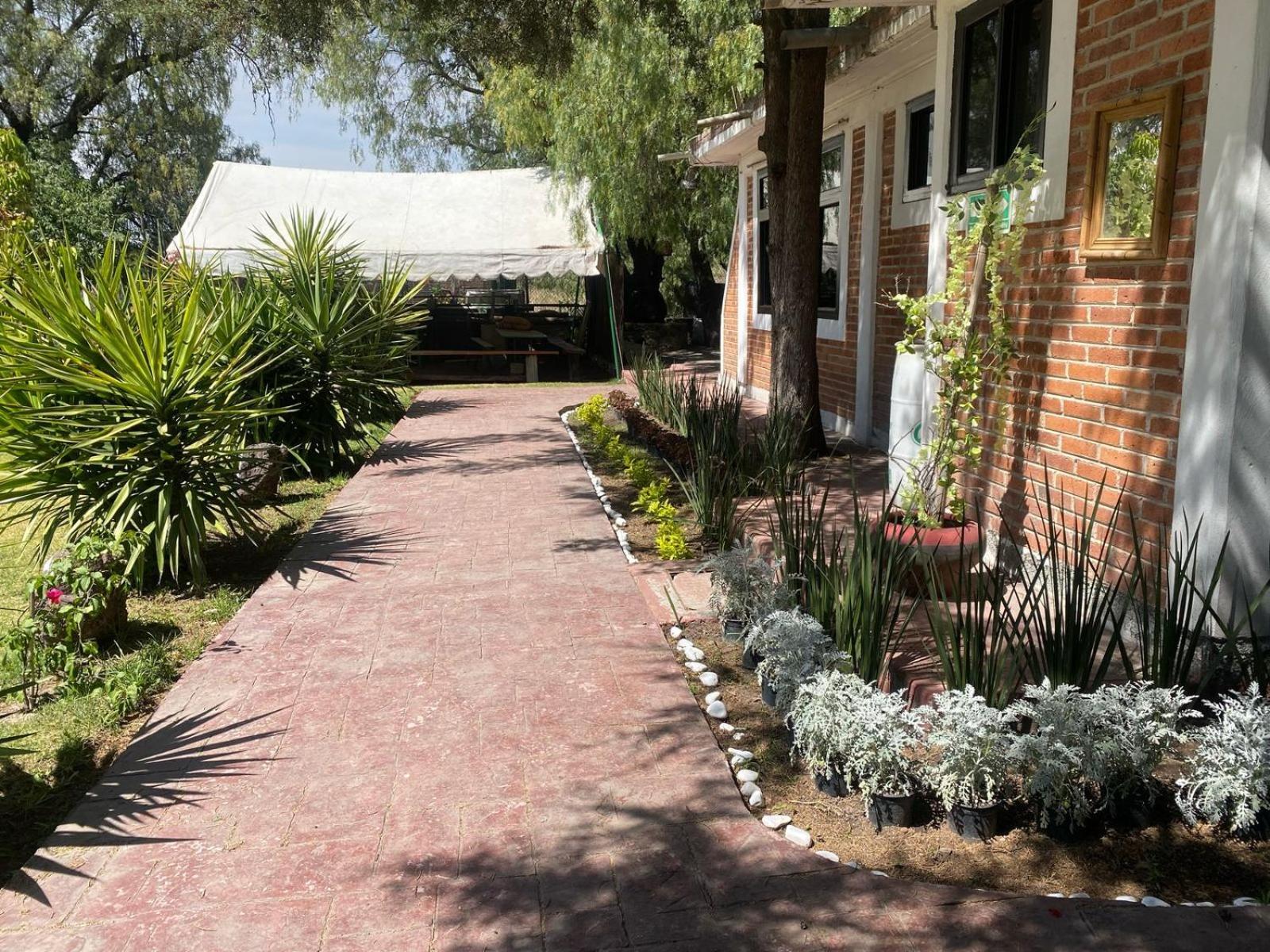 Telpochcalli Hotel & Temazcal San Juan Teotihuacán Exterior foto